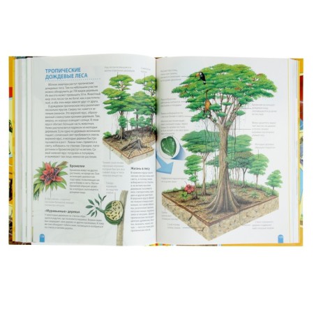 The student’s big encyclopedia "How does it work?"-3