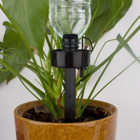 Auto -polyws for indoor plants, under a bottle adjustable-4