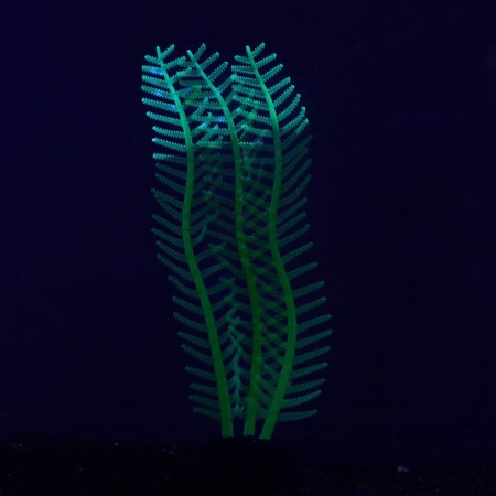 Silicone aquarium plant, luminous in the dark, 4.5 x 15 cm, green-1