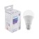 LED LED Philips Ecohome Bulb 840, E27, 13 W, 4000 K, 1250 lm, pear