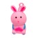 Magic "Bunny" with paste, color mix