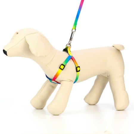 Set "Rainbow", Kapron, leash 120 x 1 cm, fire 24-34 cm, multi-colored-1