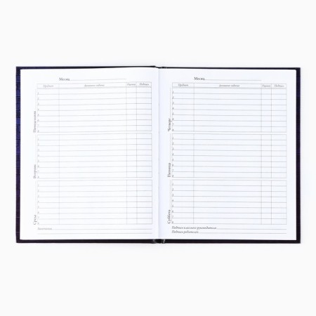 School diary for grade 1-11, in a solid cover, 40 l. "Neon"-3