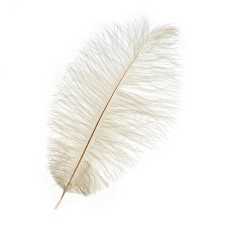 Feather for decor, size: 25-30 cm, white color-3