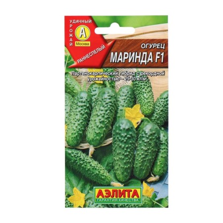 Marinda cucumber seeds F1, Early Nednie, Parthenocarpic, 0.25 g (10pcs)-3