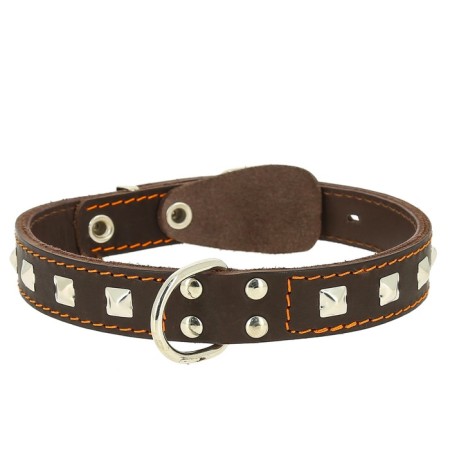Collar leather two-layer decorated, ring in the middle, Osh 63-72 x 4.5 cm, mix of flowers