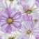 Wallpaper Paper duplex "Sandy" C6-D822-01, 0.53x10.05m