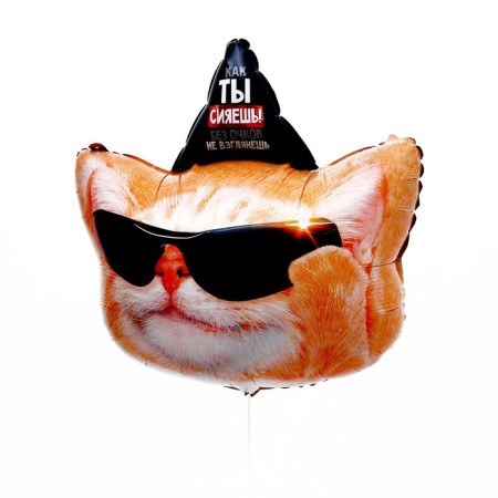 Set of foil balls 18 "Cats Happy Birthday", 2 pcs., Without a substrate-2