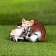 Garden figure "Best Friends" 23x27x11sm, red and brown