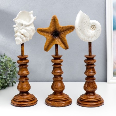 Souvenir interior polystone "shell" set 3 pcs 41x12x17 cm-2