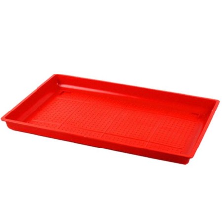 Chickens for feeding chickens, plastic
