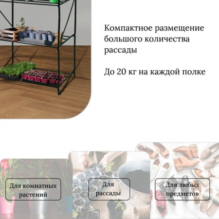 Rabbage for seedlings, 4 shelves, 160 × 60 × 40 cm, metal frame d = 16 mm, without a case-5