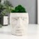 Kashpo Concrete "Head" with moss height 8.5 cm white (moss green stabilized)