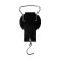Bezmen Luazon, mechanical, up to 22 kg, division price 250 g, black