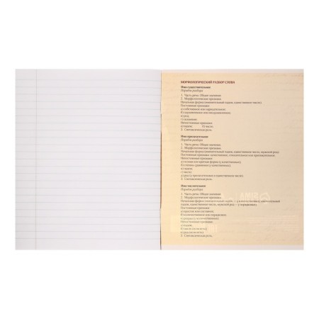Subject Calligrata “comic book anime”, 48 sheets in the line Russian, with reference material, cover coated cardboard, Uf-lak (full), OFSET block-2