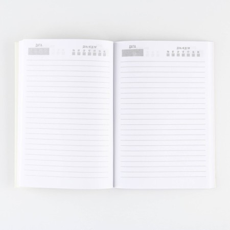 Gift New Year's set "Time to shine": Diary in a thin cover, A5, 80 sheets and pen, plastic-2