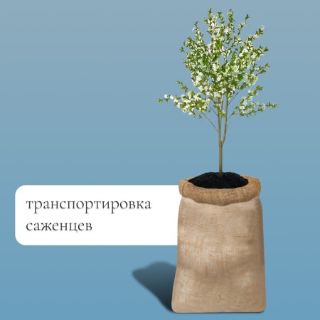 Jute bag, 50 × 80 cm, density 26 × 26 threads, without ties, Greengo-2
