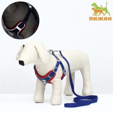 Sport+, S, leash 150 x 1.5 cm, Osh 39-41 cm, og 44-48 cm, animal weight 7-13 kg, blue 96