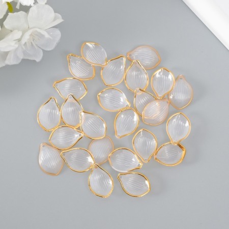 Decor for creativity Plastic "Transparent-gold" Set 25 pcs 2.3x1.6 cm