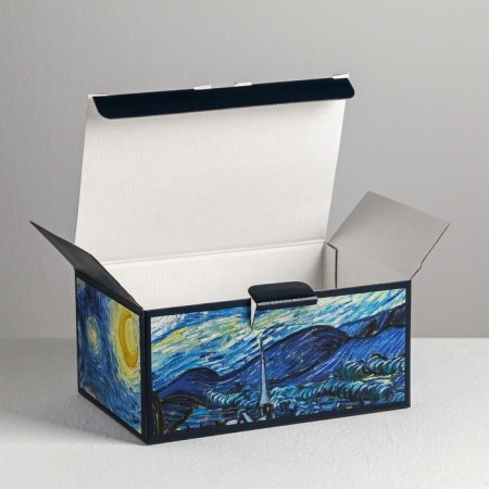 Box - Penal, Gift packaging, Van Gogh, 22 x 15 x 10 cm-4