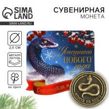 New Year's Amulet Coin 