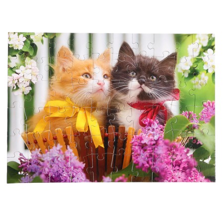 Puzzles "Funny cats", 60 elements-1