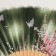 Fan wood, textile h = 21 cm "Flowers and butterflies" green, with a brush