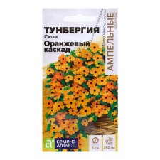 Tunbergia 
