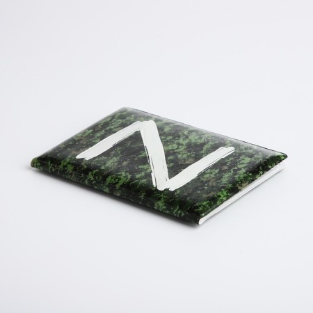 Cover for passport, green color-2