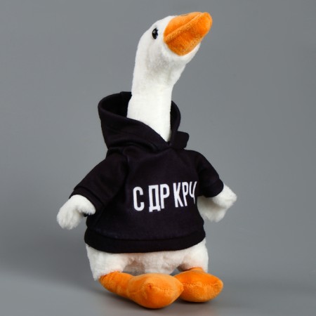 Soft toy "Goose: with DR CRC", 35 cm-1