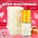 Oil Female Asseel Oil, 3 ml