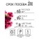 Flowers of Petunia "Toodle Vave Purple", 5 pcs
