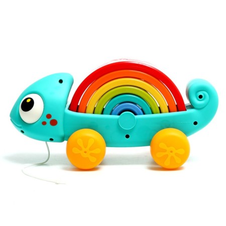 Developing catka "Rainbow chameleon"-1