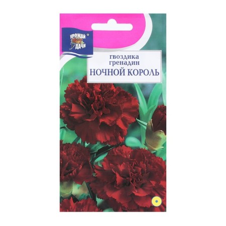 Flower seeds cloves Grenadin "Night King", 0.1 g
