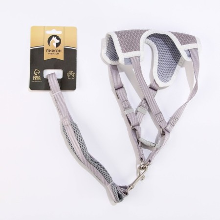 A set of ammunition with a soft harness, m, leash 120 x 1.5 cm, Osh 26-48 cm, OG 26-48 cm, gray.-5