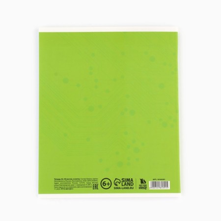 Subject notebook A5, 48 liters on the paper clip “Bright. Physics »Twin varnish, UV Lac, Congrev-3