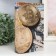 Safe Brush Tree to the Bitcoin and dollar 21x13x5 cm