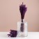 Set of dried flowers "lavender" banch length 30 (+/- 6 cm), lilac