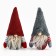 New Year's gnome in showbox