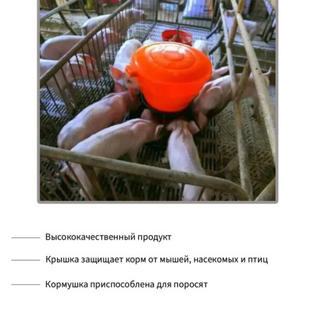 Bunker feeder for piglets for 5 kg, plastic, lstl-5