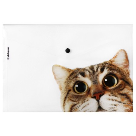 A4 button, 160 μm, Erichkrause "Hiding Cats", translucent, mix, mix-3