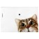A4 button, 160 μm, Erichkrause "Hiding Cats", translucent, mix, mix