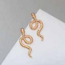 Earrings Metal 