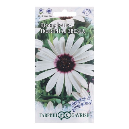 Dimorphotherapt seeds "Polar Star", 0.1 g