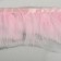 Braid with feathers Marabu, 8-10 cm, 5 ± 0.5 m, pink color