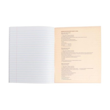 Subject subject calligrata "photo", 48 sheets in the line, Russian, with reference material, cover coated cardboard, block offset-3