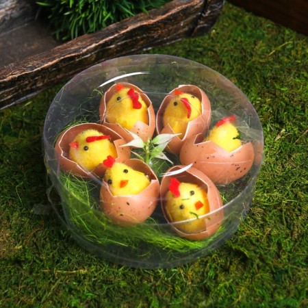 Easter souvenir "Chickens in the egg on the grass" set 6 pcs 4.5x14x14 cm-2