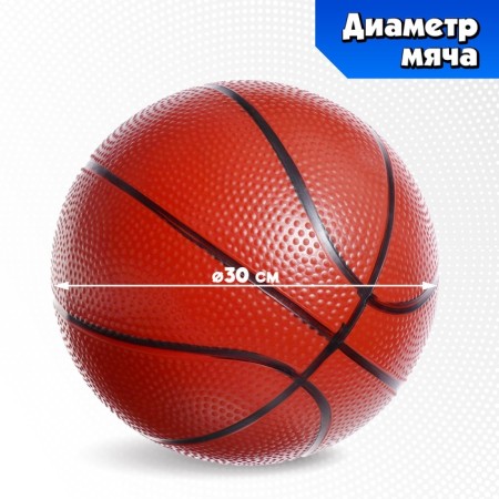 Basketball set, with a ball and a pump, 250 cm-5