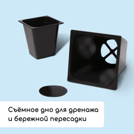 Set for seedlings: glasses of 1 l (10 pcs.), Patron 61 × 23 cm, black-3