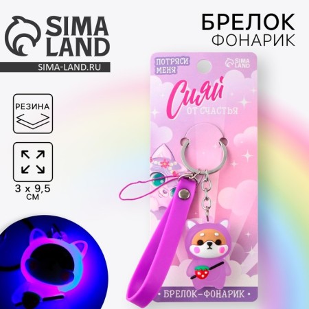 A keychain for keys with a flashlight “Shine with happiness”, 3 x 9.5 cm